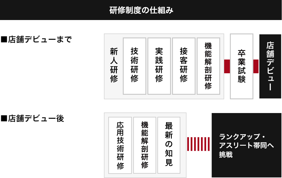 研修制度の仕組み